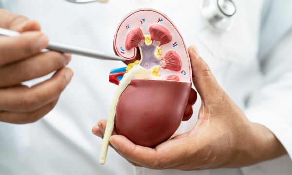 Los efectos de la diabetes en los riñones