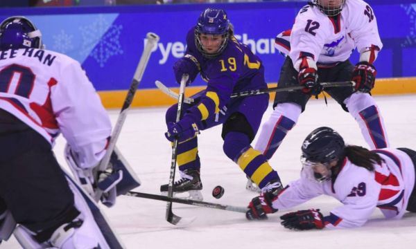 Women's ice hockey match (Source: Google)