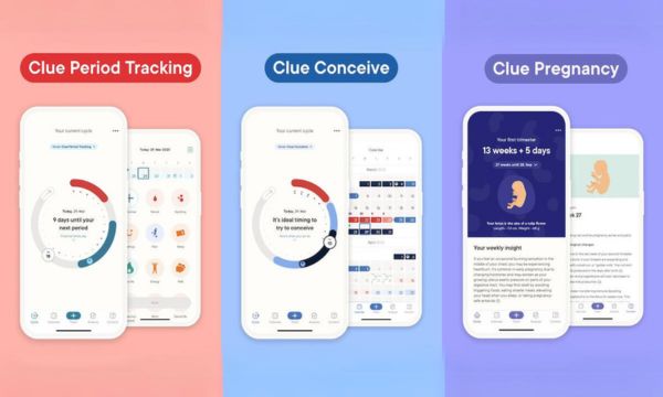 ¿Cómo funciona la aplicación Clue?